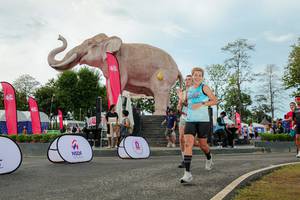 BIB: 
                            <button type="button" onclick="openModal(26528987)" class="btn btn-primary btn-sm float-right btn-popup" data-toggle="modal" data-target=".modal-high-quality">
                        <i class="fas fa-shopping-cart"></i> Add to Cart
                    </button>
                                            <button type="button" onclick="isThisMe(26528987, true)" class="btn btn-success btn-sm float-right btn-popup btn-isme hidden" data-toggle="tooltip" data-placement="bottom" title="นี่คือรูปของคุณใช่ไหม คลิกที่นี่เพื่อเอาเข้าอัลบั้ม">
                        <i class="fas fa-plus"></i> Add to album
                    </button>
                    <button type="button" onclick="isThisMe(26528987, false)" class="btn btn-warning btn-sm float-right btn-popup btn-isnotme hidden">
                        <i class="fas fa-ban"></i> Remove from album
                    </button>